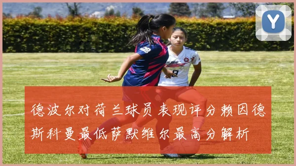 德波尔对荷兰球员表现评分赖因德斯科曼最低萨默维尔最高分解析