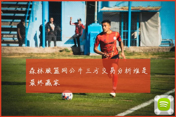 森林狼篮网公牛三方交易分析谁是最终赢家