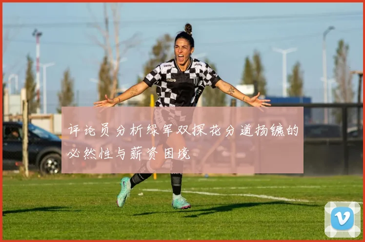评论员分析绿军双探花分道扬镳的必然性与薪资困境