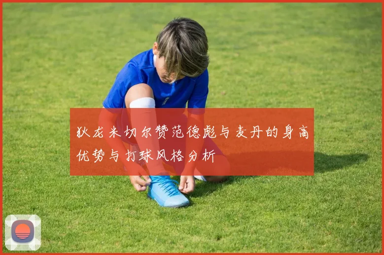 狄龙米切尔赞范德彪与麦丹的身高优势与打球风格分析