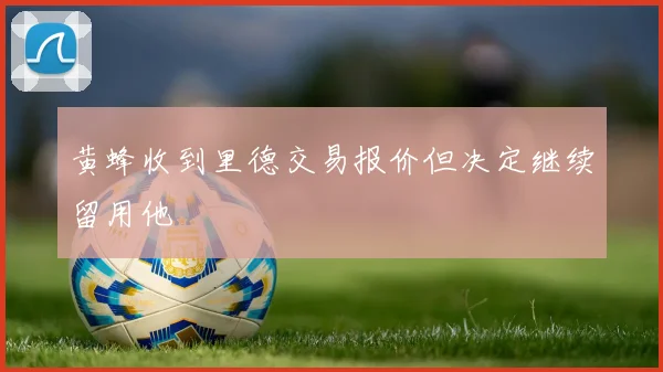 黄蜂收到里德交易报价但决定继续留用他